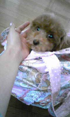 はじめましての画像1