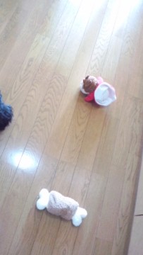 成長しました。の画像2