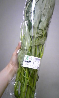 空芯菜。の画像1