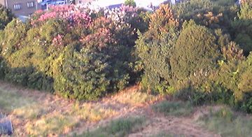 ５時３８分の画像2