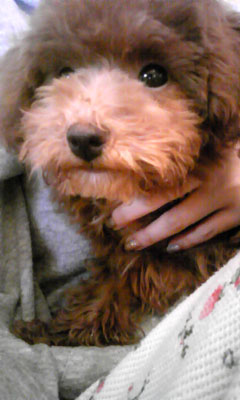 ダイヤ(゜∇゜)の画像1