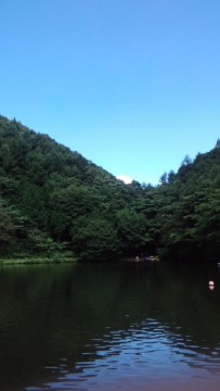 自然の生命力。の画像1