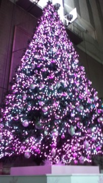 treeだょー。の画像1