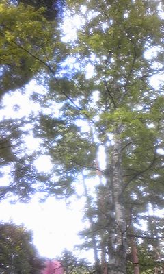 散歩…Photo ５枚。の画像1