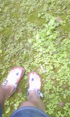 散歩…Photo ５枚。の画像3