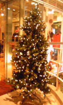 クリスマス…？の画像1
