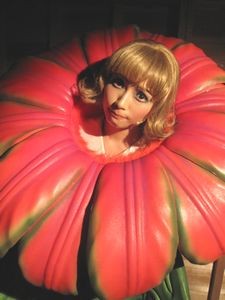 リトルショップ‥６。の画像2