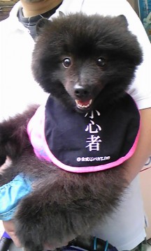小熊？？の画像1