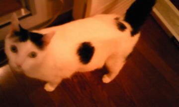 みっくん**５の画像1