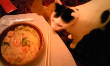 みっくん**５の画像2