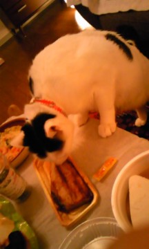 みっくん**５の画像3