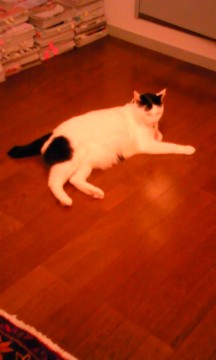 みっくん**５の画像5