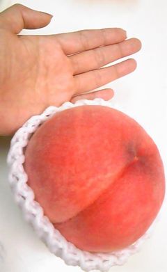 もも。の画像2