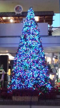 Christmas☆の画像3