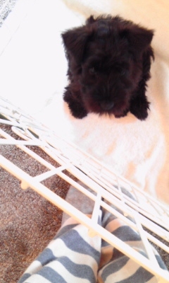 めるるるる…♪の画像1