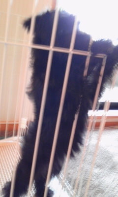 めるるるる…♪の画像3