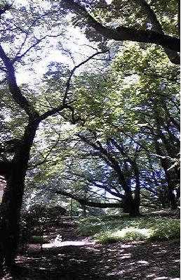 おはよー。の画像1