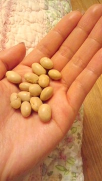 恵方巻き。の画像2