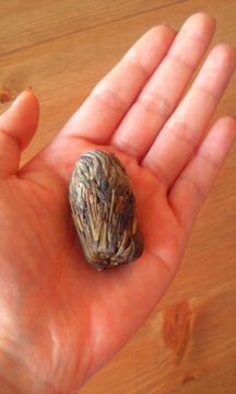 ジャスミン茶♪の画像1